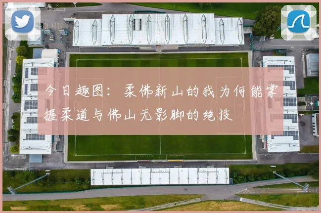 今日趣图：柔佛新山的我为何能掌握柔道与佛山无影脚的绝技