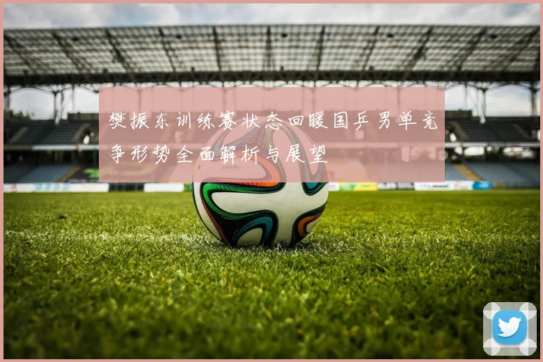 樊振东训练赛状态回暖国乒男单竞争形势全面解析与展望